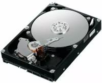 Жесткий диск SEAGATE SKYHAWK ST 1000VX005 500 Гб