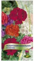 Пеларгония-1уп., Грунт для цветов (почвобрикет 2,5л)-1шт, Семена цветов для комнаты, балкона и сада