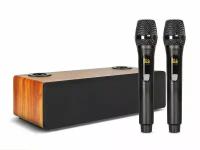 Караоке-система для дома с беспроводными микрофонами MojoPro 130Вт