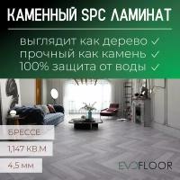 SPC ламинат Evofloor Parquet - Bressay (Паркет Брессе)