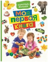 Книга РОСМЭН Моя первая книга Арт. 30422