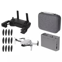 Квадрокоптер DJI Mini SE Fly More Combo