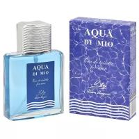 Alain Aregon Мужской Aqua Di Mio Туалетная вода (edt) 90мл