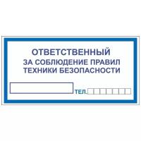 Наклейка «Ответственный за соблюдение правил техники безопасности», размер 30x15 см. (5 штук)