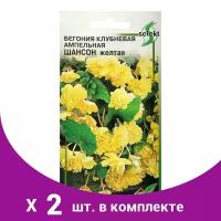 Семена цветов Бегония ампельная 'Шансон' клубневая, желтая, 10 шт (2 шт)