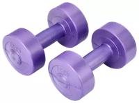 Гантель 1,5кг KETT-UP GYM FITNESS, (2шт), KU158.1.5, виниловая, фиолетовый