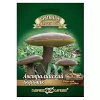 Гавриш Боровик австралийский гриб на зерновом субстрате, большой пакет, 15 мл
