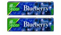 Жвачка Lotte Blueberry Gum голубика (2 шт.)