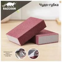 Raccoon Набор губок чистящий Raccoon «Чудо-губка», 10,5×7×5 см, 2 шт