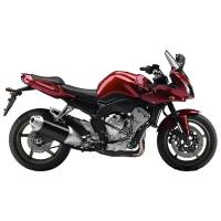 Дуги на мотоцикл YAMAHA FZ1, FZ8 от `06- (без ABS) CRAZY IRON серии STREET