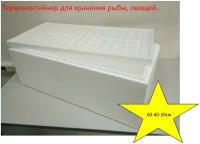 Ящик пенопластовый для хранения и перевозки с соблюдением температуры 60-40-20