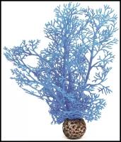 Синий морской веер, малый, Sea fan small blue