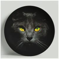 Декоративная тарелка Кошка в темноте, 20 см