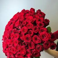 Живые цветы букет красных роз 101 шт 60 см