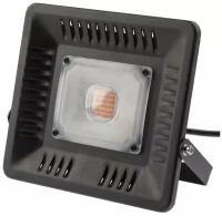 Прожектор светодиодный ЭРА 50W 1370K Fito-50W-Led Б0039033