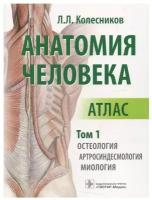 Колесников Л.Л. "Анатомия человека: атлас: в 3 т. Т. 1. Остеология, артросиндесмология, миология (на латинском, русском и английском языках_"