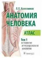 Колесников Л. Л. "Анатомия человека: атлас: в 3 т. Т. 1. Остеология, артросиндесмология, миология (на латинском, русском и английском языках_"