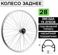 Колесо заднее XLINE на 28" 1 скорость, звезда 19T, тормозная втулка, ножной тормоз, двойной обод, цвет серебристый