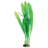 Растение Laguna "Эхинодорус" зеленый, 200мм