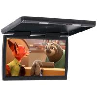 AVEL Потолочный монитор 23,6" со встроенным Full HD медиаплеером AVS2230MPP (серый)