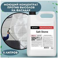 Моющий очиститель концентрат для мойки фасадов зданий Salt Stone 5 л, против высолов на поверхностях