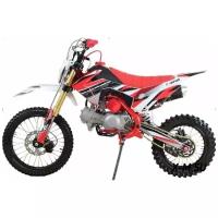 Питбайк Racer RC-CRF125 Start Pitbike