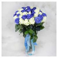 Букет живых цветов из 51 розы синей белой 60см