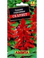 Семена Сальвия сверкающая Скарлет 0,1 гр