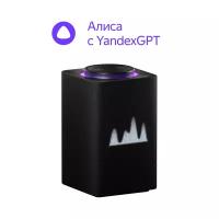 Умная колонка Яндекс Станция Макс с Zigbee черный YNDX-00053K