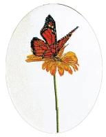 Thea Gouverneur Набор для вышивания Бабочка оранжевая 33 х 24 см (1023A)
