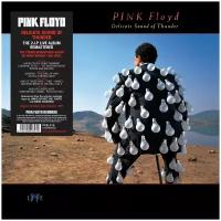 Warner Bros. Pink Floyd. Delicate Sound Of Thunder (2 виниловые пластинки)