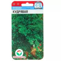 Семена Петрушка "Кудрявая", 1 г