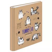 Тетрадь на кольцах ArtSpace "Funny cats", А5, 120 л., глянцевая ламинация