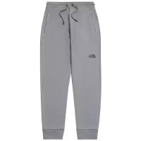 Штаны The North Face Men's NSE Light Joggers Wrought Iron