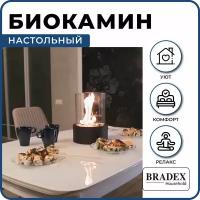 Биокамин Прометей, Bradex (TD 0305)