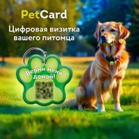 Адресник PetCard для собак и кошек с QR кодом и NFC, зелёный