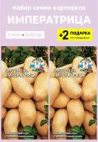 Семена Картофель "Императрица", 2 упаковки + 2 подарка