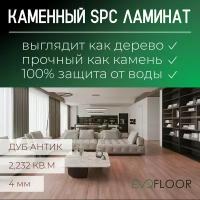 SPC ламинат Evofloor Home - Oak Antique (Дуб Антик)