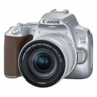 Canon EOS 250D 18-55 kit Silver //