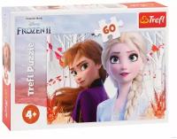 Trefl Пазл Disney Frozen "Зачарованный мир Анны и Эльзы", 60 шт. 17333T