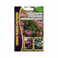 Семена Рододендрона крупнейшего (Rhododendron maximum) (0,01 г)