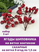 Ягоды Шиповника зонтиком в сахарной обсыпке, на ветке 9 ягод по 15 мм, набор 5 шт