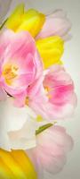 Самоклеящиеся фотообои "Нежные тюльпаны", размер: 90x200 см