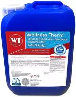Wellness Therm Средство Wellness Therm для уничтожения водорослей (Альгицид) 10л 312569