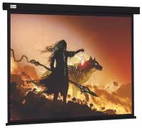 Рулонный черный экран cactus Wallscreen CS-PSW-149X265-BK, 124", черный