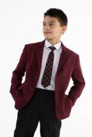 Школьный пиджак для мальчика Инфанта, модель 80501, цвет бордовый, размер 170/84