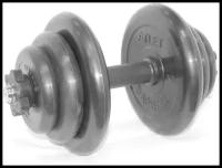 Гантель разборная 19,5 кг BARBELL MB-FdbM31-At19