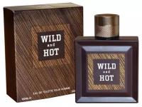 Туалетная вода мужская 100 мл, Wild And Hot