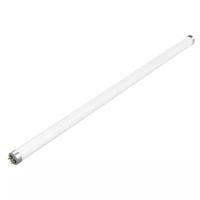 Светодиодная лампа Gauss LED Elementary T8 Glass 600mm G13 10W 800lm 6500K