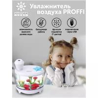 Увлажнитель воздуха Аквариум PROFFI HOME PH11053